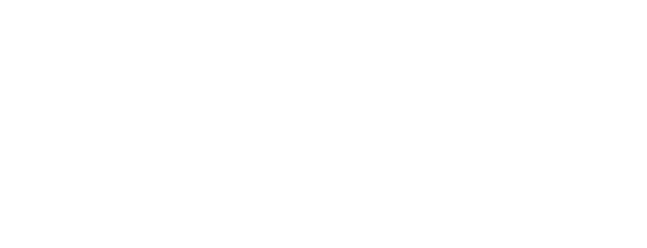 logo-site-naos