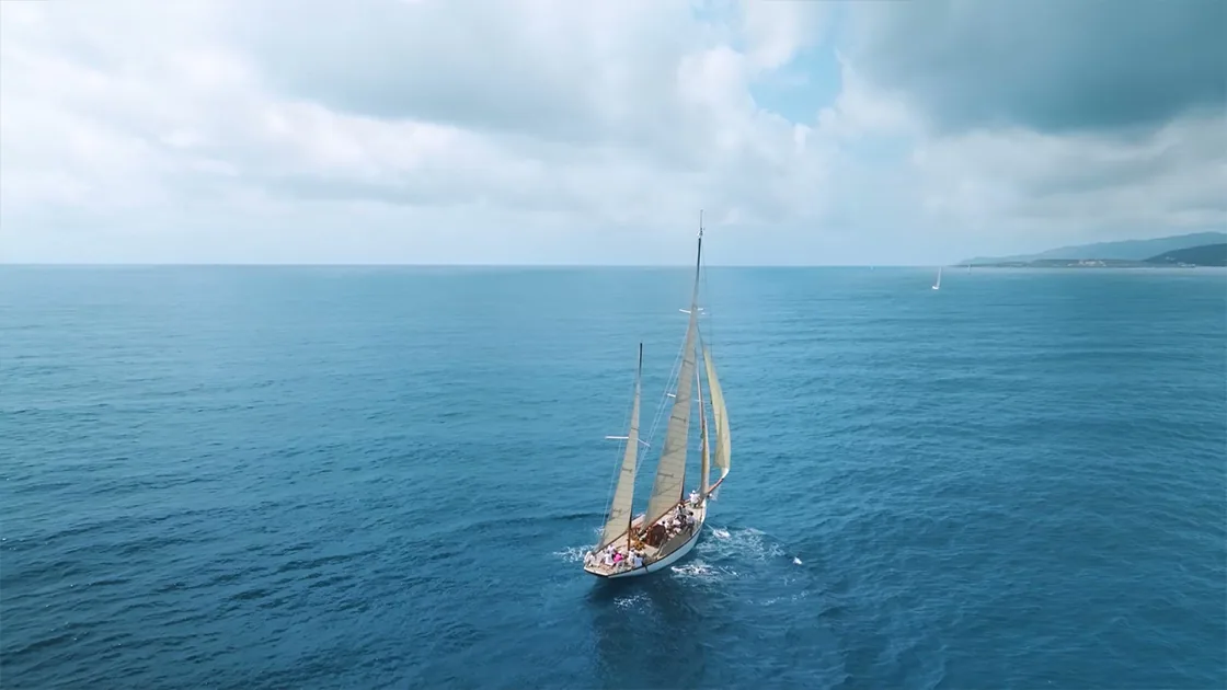 Blue beauty et actifs marins : la Méditerranée, ressource et enjeu pour les marques de beauté